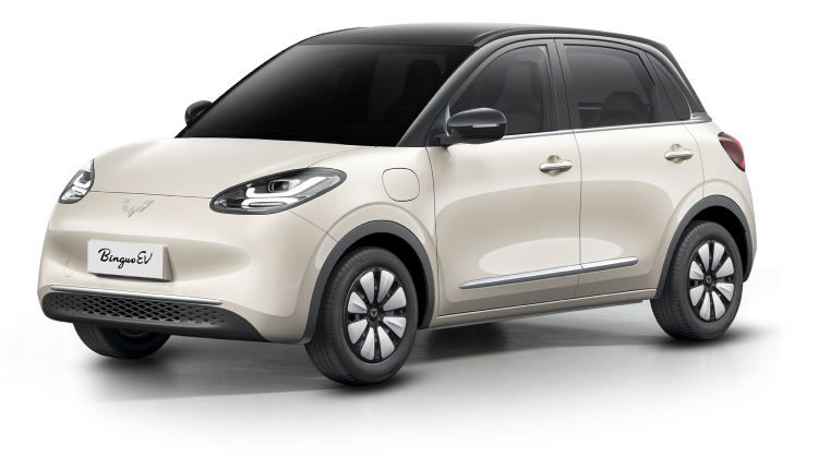Wuling Binguo EV